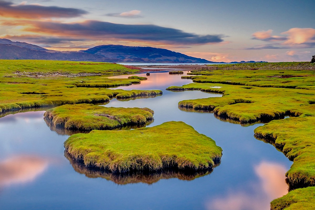 Steven Marshall Photography